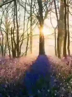 Week 1 - Sunday 22nd February